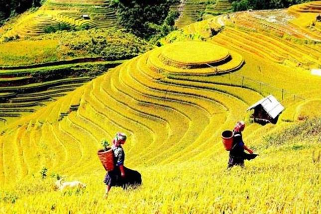 Top 9 Sapa Tours For Seniors And Over 50s - TourRadar