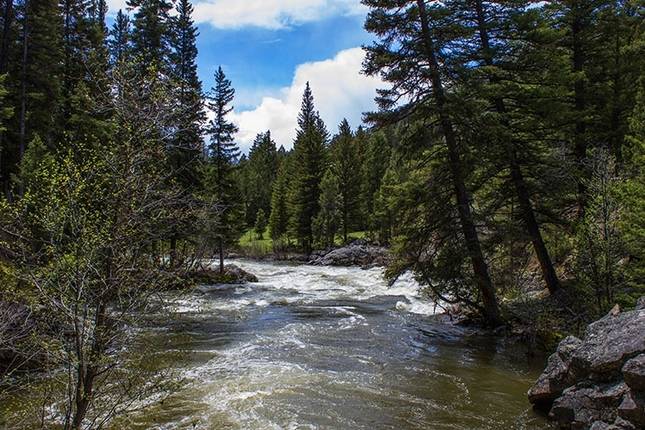 10 Best Yellowstone National Park Tours And Trips 20242025 Tourradar 2747