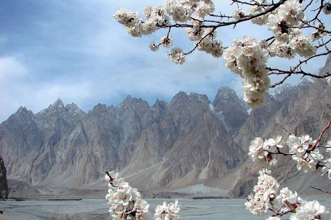 Hunza Cherry Blossom Tour, Gilgit-Baltistan, Pakistan