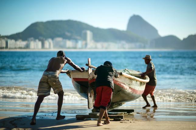 Pure Brazil