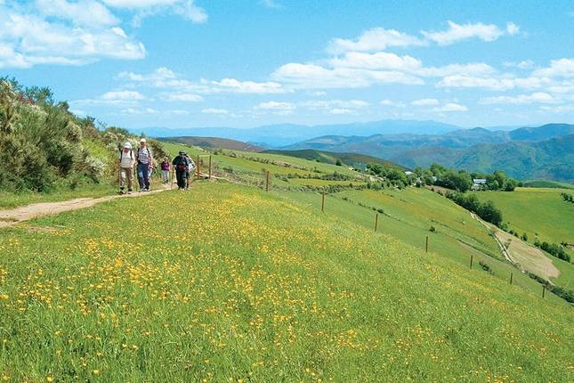 Walking the Camino de Santiago - 12 Days