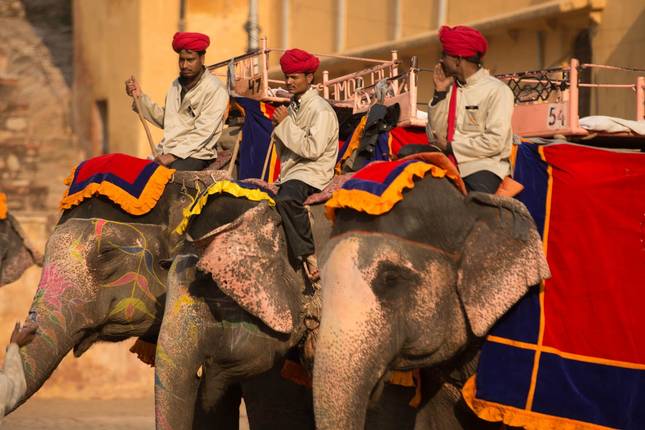 Golden Triangle with Buddhist Tour