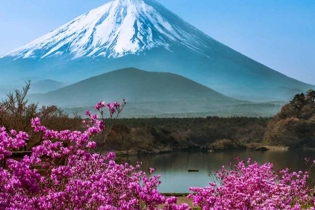 10 Best Fuji Tours Vacation Packages 2021 2022 Tourradar