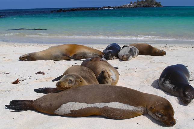 10 Best Galapagos Islands Tours & Trips for Couples 2022/2023 - TourRadar