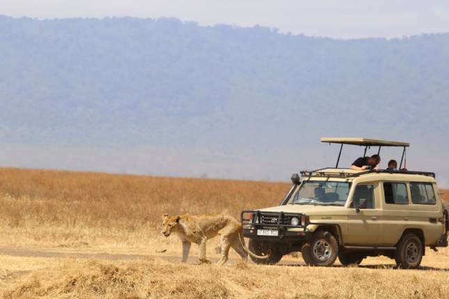 3  Days 2 Nights Safari Tarangire,Lake Manyara & Ngorongoro Crater