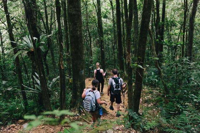 Malaysia's Ultimate Adventure (from Kuala Lumpur to Sandakan)