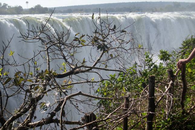 10 Best Chobe National Park Tours & Trips From Victoria Falls - TourRadar