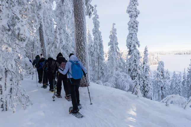 Off The Trails - Snowshoeing tour