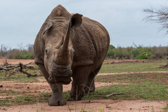 6 Days Kenya Budget Tours (with Free Night at Nairobi Hotel)