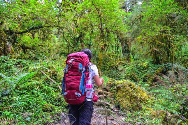 Annapurna Circuit Trek
