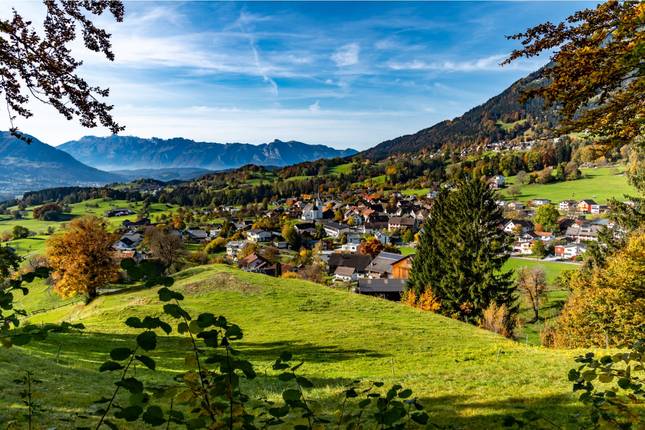 France and Swiss Alps