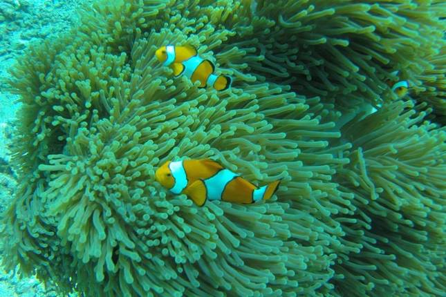 10 Best Private Tours in Thailand 2024/2025 - TourRadar