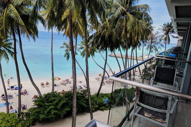 Maldives Group Tour! Whale Sharks, Manta Ray, Shipwreck & Resort Visit