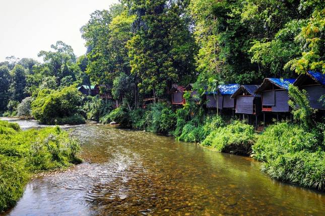 Excursão de 10 Dias de Natureza e Vida Selvagem no Sri Lanka