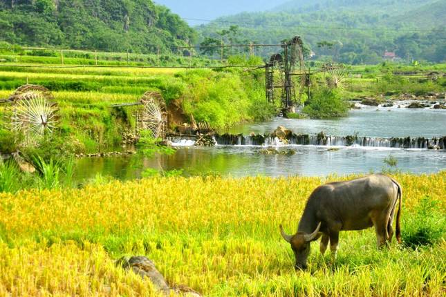 Pu Luong Nature Reserve Discovery In 8 Days - Luxury Private Tour
