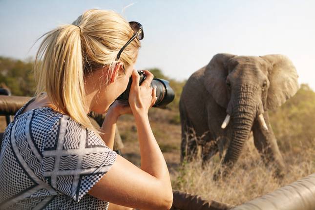 2 day South African Wildlife Safari Highlights Tour from Cape Town