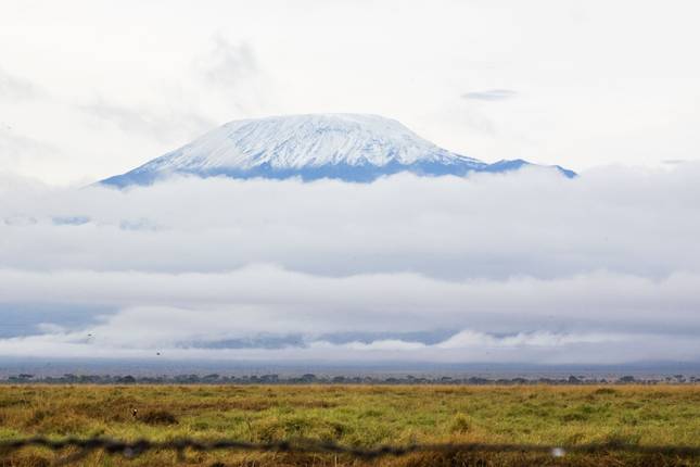 رحلة سفاري الفيلة الحمراء الفاخرة لمدة أربعة أيام - Tsavo West و Amboseli