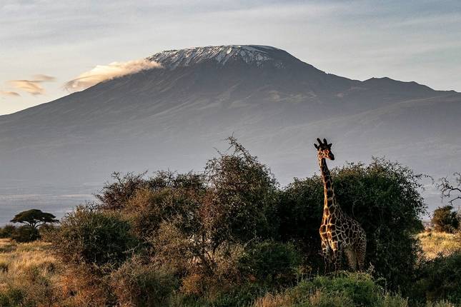 mount kilimanjaro tour packages