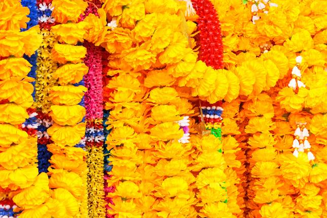 Golden Triangle with Haridwar and Rishikesh, Supersaver