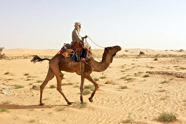 8 Best Mauritania Tours & Trips 2024 - TourRadar