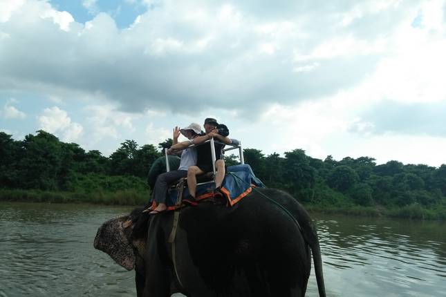 3 noce / 4 dni Safari w Chitwan