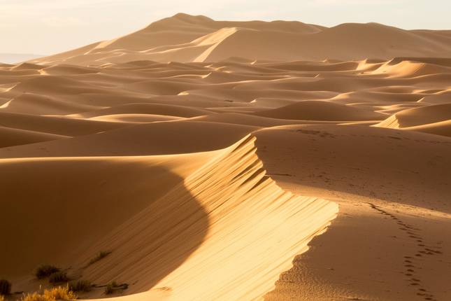 10 Best Sahara Desert Tours & Trips from Agadir - TourRadar