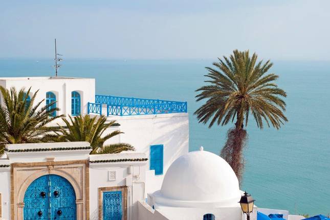 tunisia tour packages from india