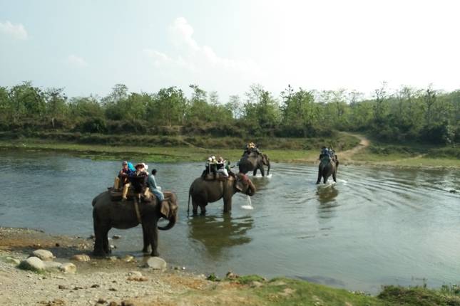 Passeio de Helicóptero ao Everest com Safari na Selva Royal Chitwan