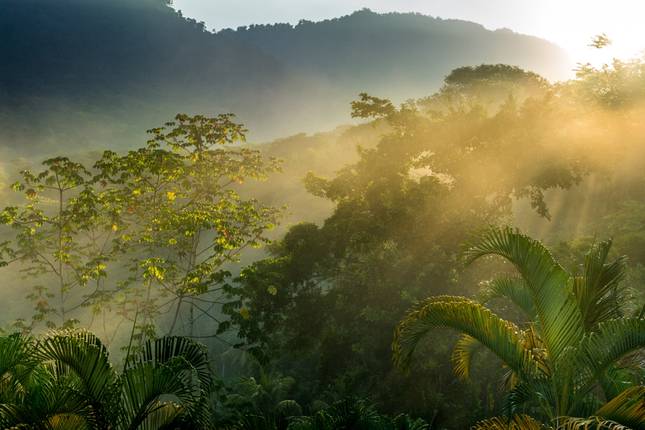 Raft, Hike and Explore Costa Rica