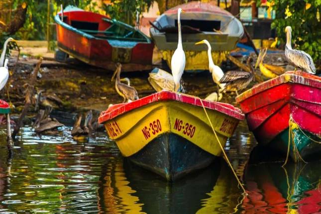 Explore Jamaica