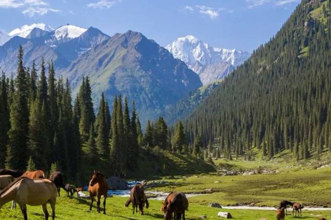 Walking in Kyrgyzstan