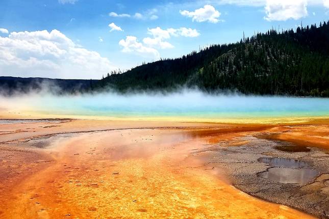 yellowstone national park tours for seniors