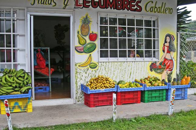 Costa Rica Tour Deals - Up to 15% Off - Early Bird and Last Minute