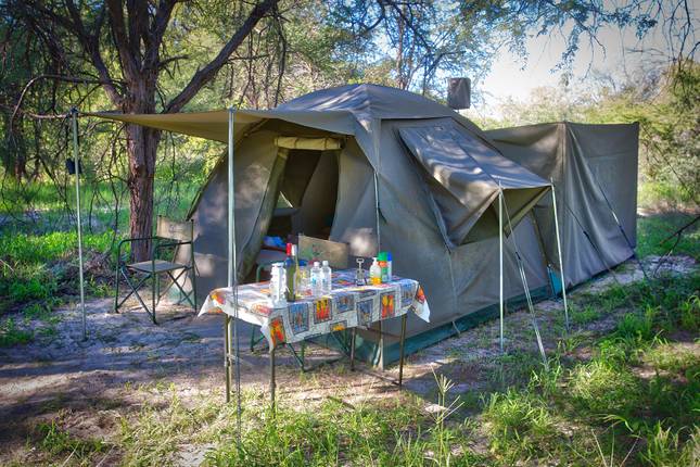 10 Best Botswana Tours & Trips 2022/2023 - TourRadar