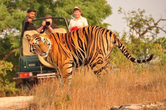 Goldenes Dreieck Rundreise (inkl. Ranthambore)