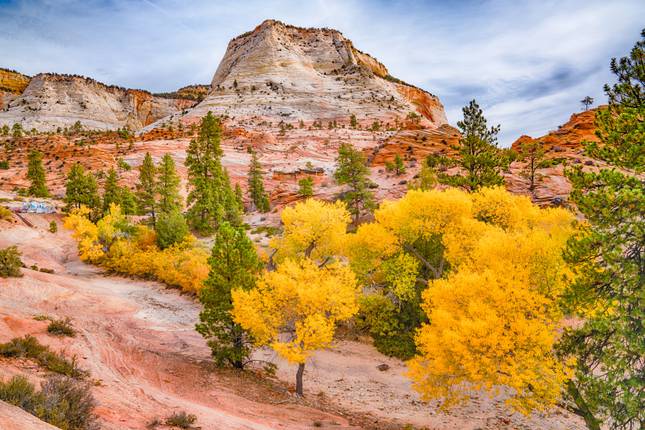 Utah's Mighty Five National Parks
