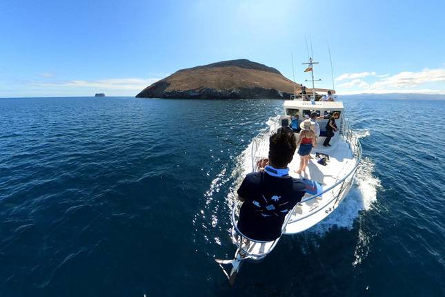 Experiência Premium em Galápagos: Hotéis Boutique, Ilhas Icónicas e Vida Selvagem em 9 Dias
