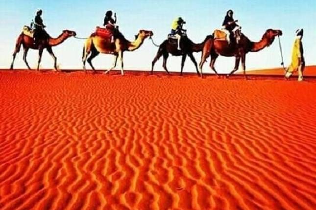 Private tour: Casablanca to Marrakech via Chefchaouen, Fes, and Desert.