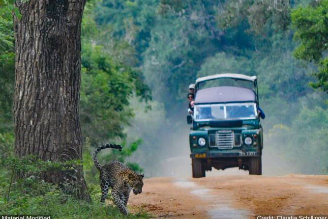 tours of sri lanka 2024