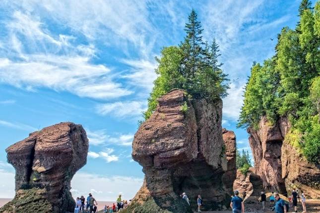 Bay of Fundy Tours - Part of Caravan Nova Scotia PEI Tour