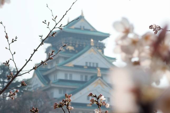 Great Trail of Japan