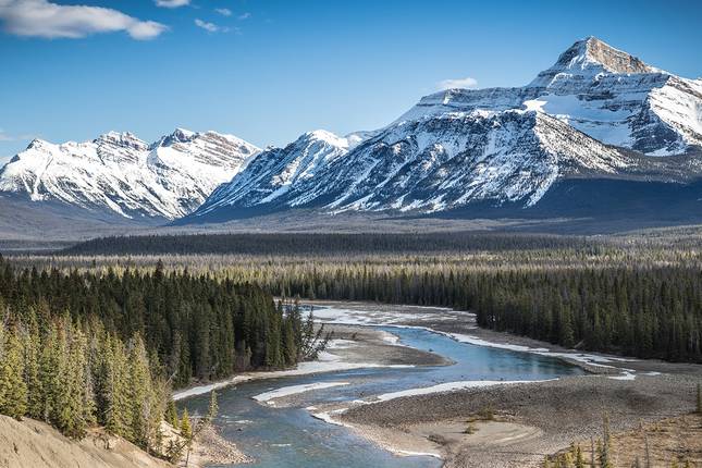 Caribou - Best of the Rockies