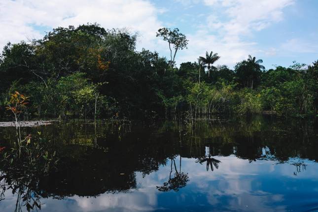 Aventura na Selva Amazônica de Manaus 5D/4N
