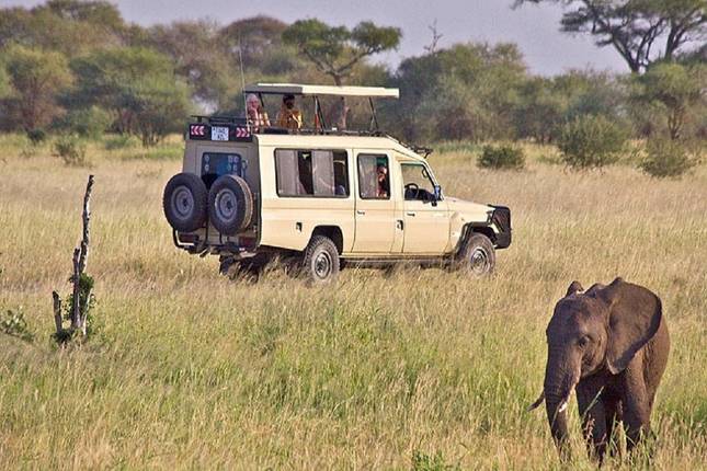 Discover All-Inclusive, Most Affordable, & Budget-Friendly 4 Days Tanzania Camping Safari from Arusha in Tanzania