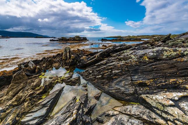 Causeway & Castles