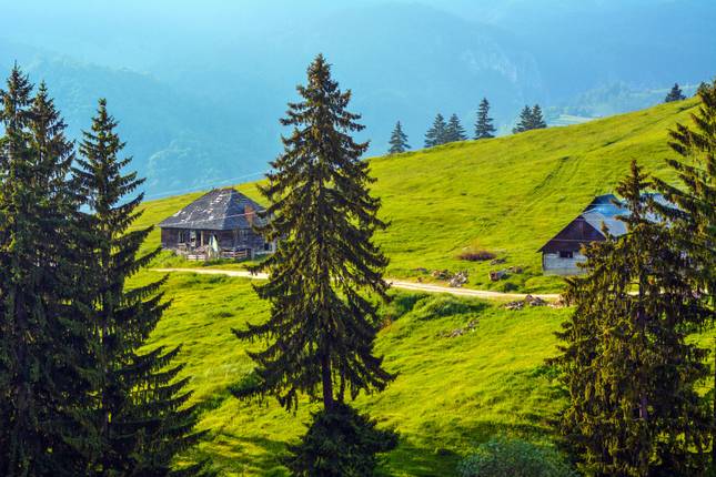 Adventure trip to Transylvania in 3 days from Bucharest (small group tour)