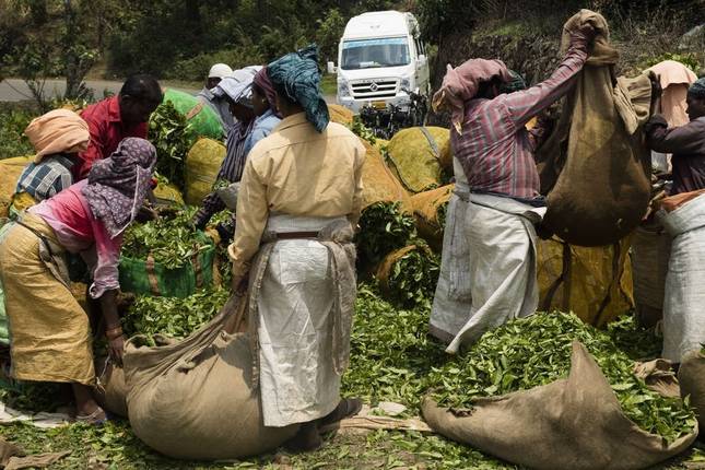 Cycle Kerala (Diwali Festival)
