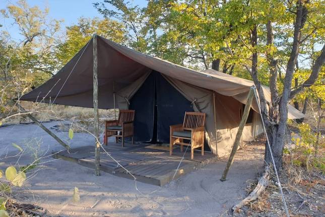 10 Best Zimbabwe Tours & Trips 2025/2026 - TourRadar