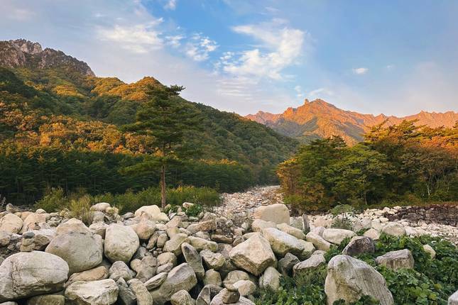 Korean World Heritage Adventure 11D/10N