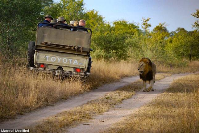  10 Best South Africa Tours & Trips 2024 - TourRadar 